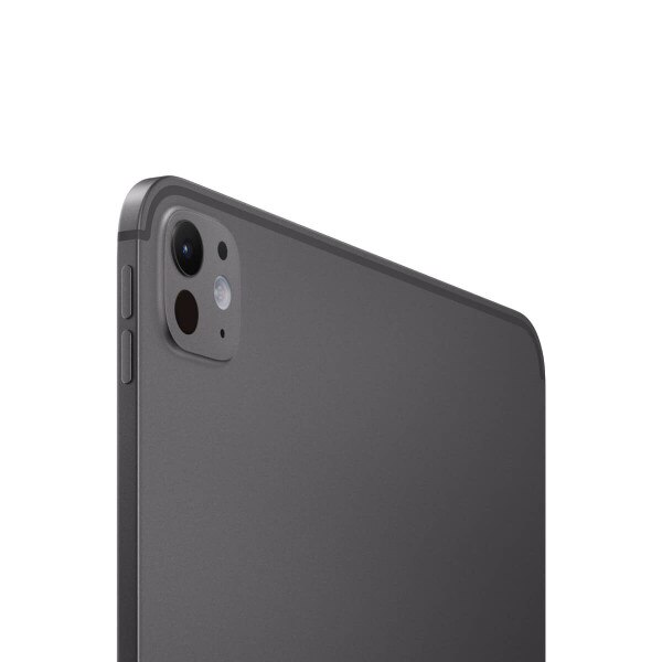 iPad Pro 13インチ M4 256gb 本体（アップル 11インチ iPad Pro (M4 